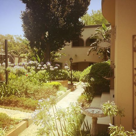 Dunton Guest House Johannesburg Esterno foto