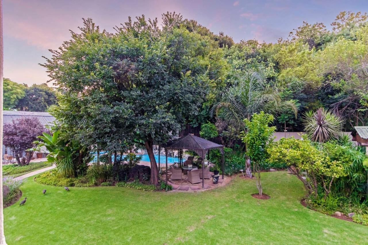 Dunton Guest House Johannesburg Esterno foto