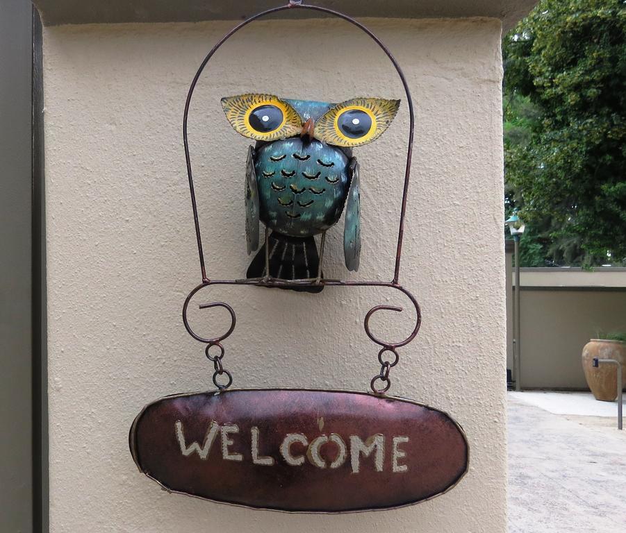 Dunton Guest House Johannesburg Esterno foto